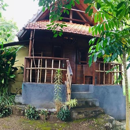 Echo Alam Nusa Lodge Ped Exterior foto