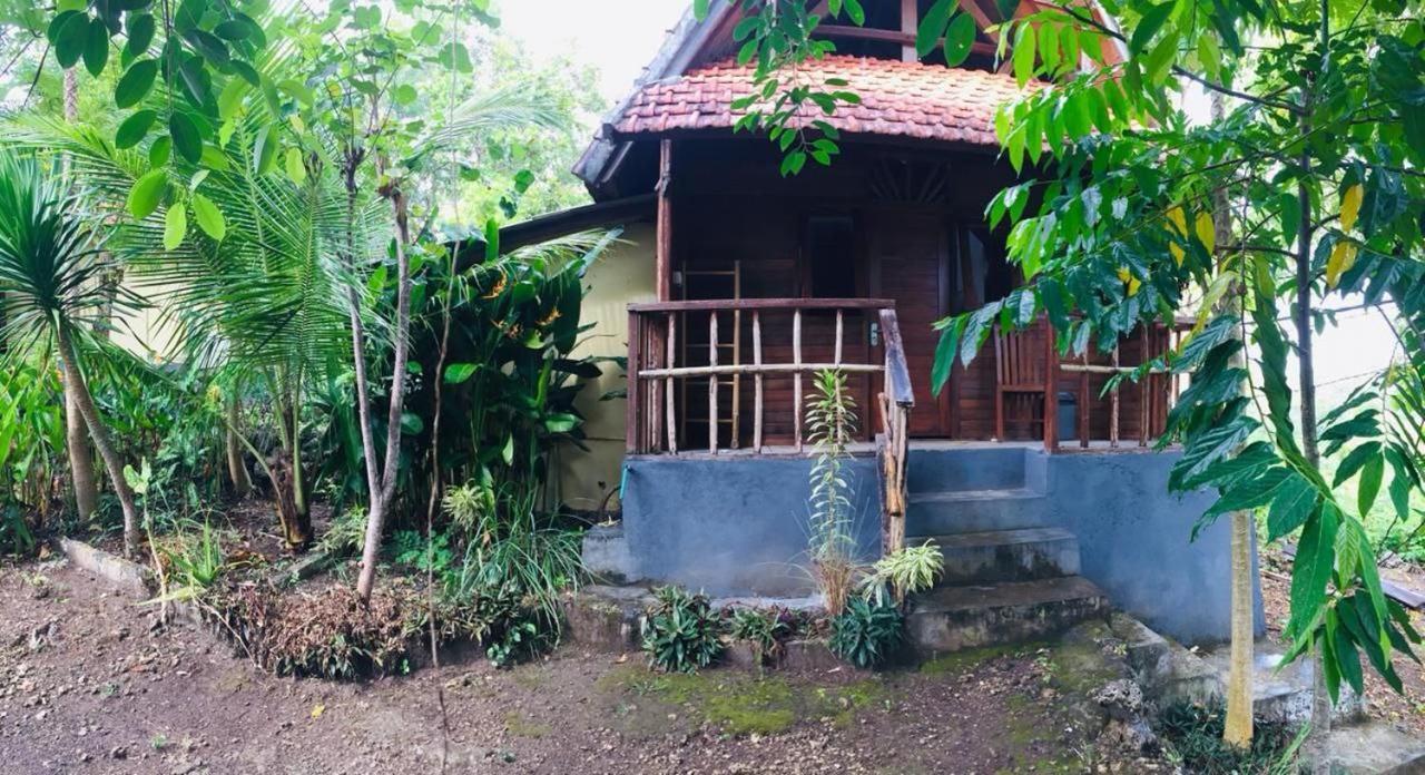 Echo Alam Nusa Lodge Ped Exterior foto